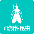 飛翔性昆虫